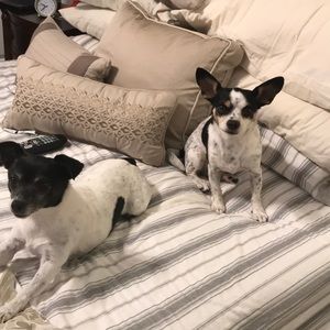 Meet your Posher, Andrea